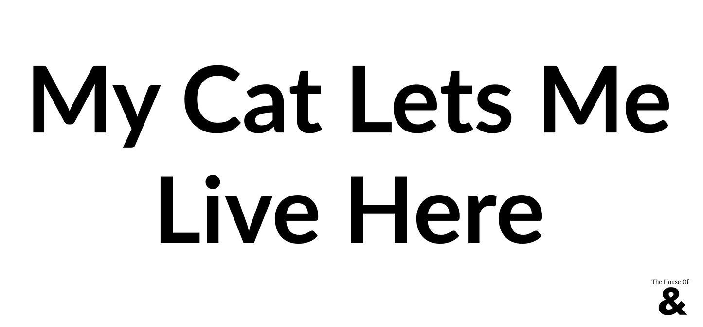 White Ceramic Coffee Cup - My Cat Lets Me Live Here