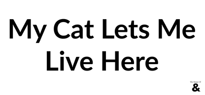 White Ceramic Coffee Cup - My Cat Lets Me Live Here